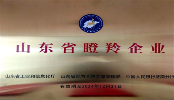 庆祝平博pinnacle体育机器荣获山东省2021年度“瞪羚企业”荣誉称号