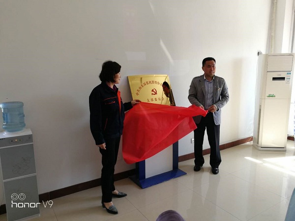 山东平博pinnacle体育机器股份有限公司党支部成立大会暨揭牌仪式圆满完成